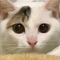 雑談