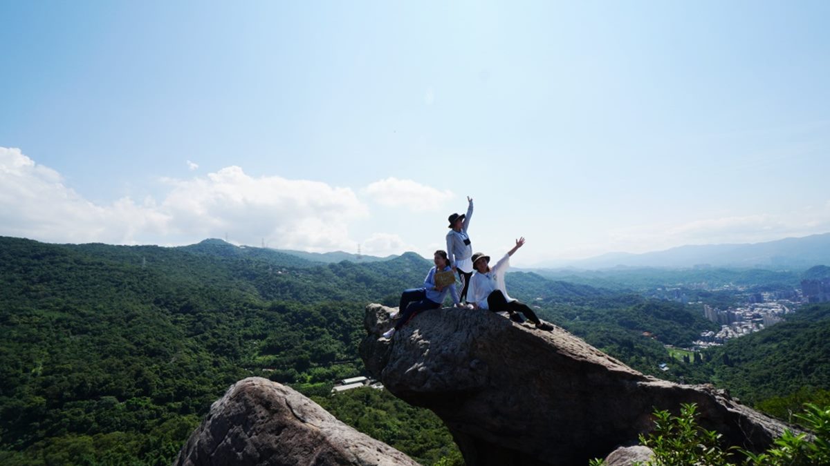 輕鬆好走不費力！內湖６條森林步道：80米「S型空中長廊」、紫色龍形吊橋