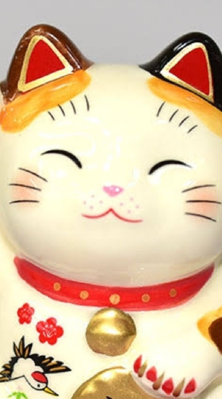 貓狗寵物商品批發