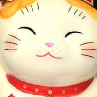 貓狗寵物商品批發