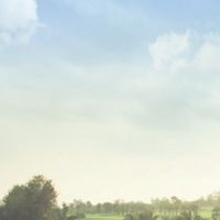 FTI-Chon Golf #20