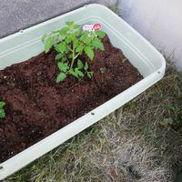 一人っ子の親、今後も一人onlyな方、色々お話ししよう🎵世間のグチも🆗