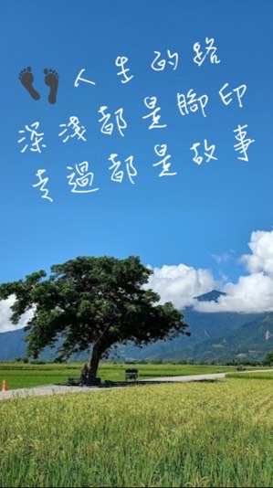 大樹麻沙🌳
