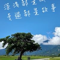 大樹麻沙🌳