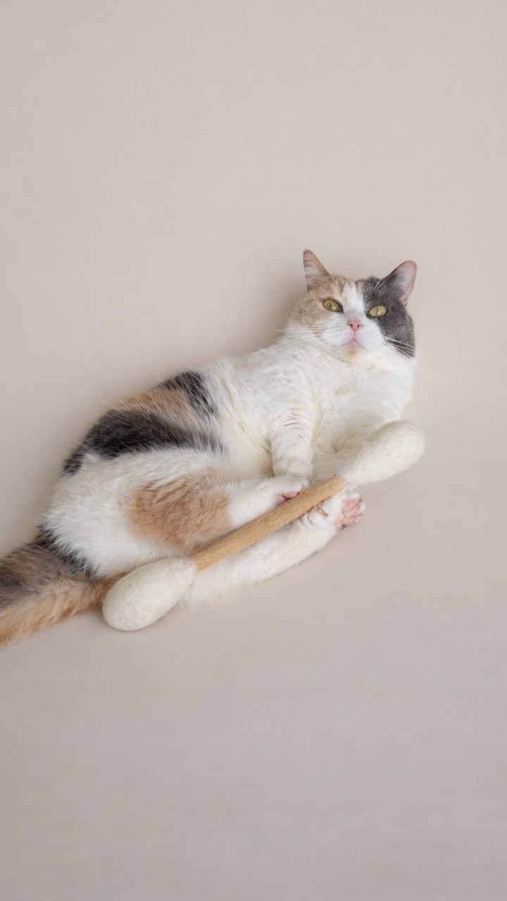 奶粉俱樂部🧸2群