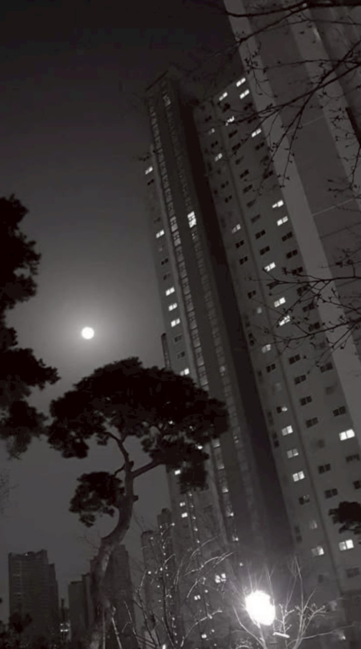 𝐩𝐫𝐨𝐣𝐞𝐜𝐭 𝐦𝐨𝐨𝐧 𝐑𝐏 | 𝐓𝐇𝐀𝐈 𝐀𝐔