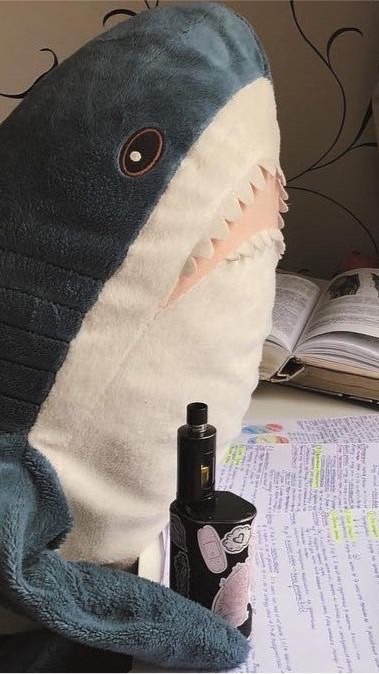 Sharky shop