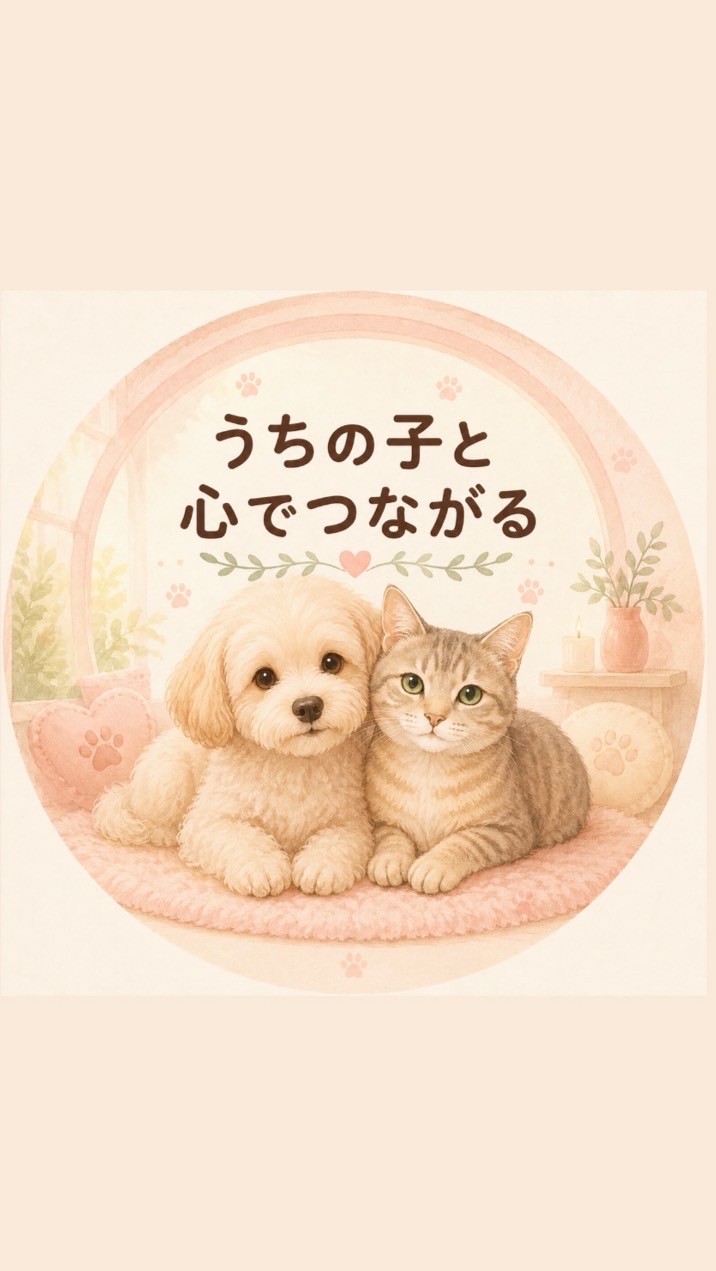 🐾うちの子と心でつながるお部屋🌼｜講座受講生限定