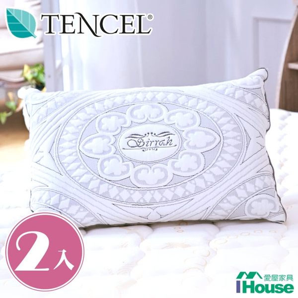 IHouse TENCEL青森竹炭天絲枕-2入