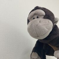ごりあんずのみんな集まれ〜👊🏻‼️