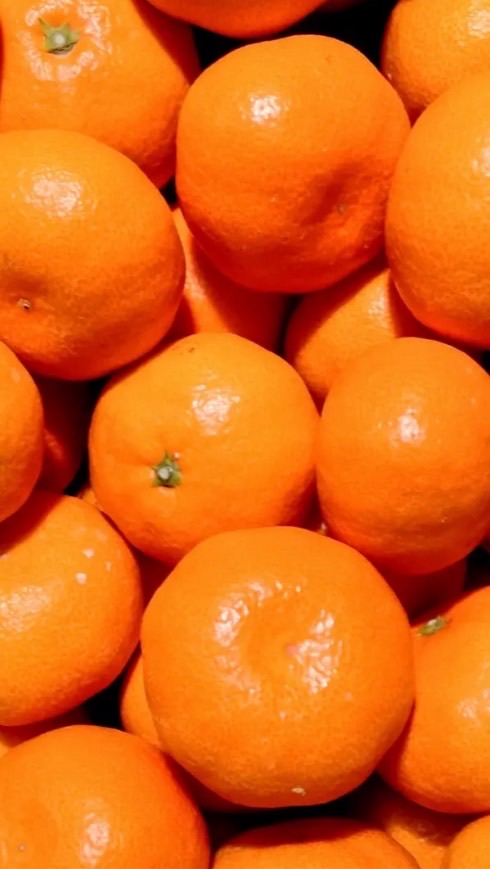 ＳＣＨ実都農園　販売情報