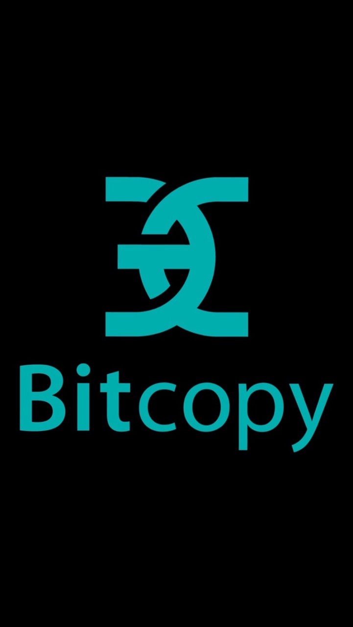 BTCFXコピートレード【 Bitcopy 】のオープンチャット