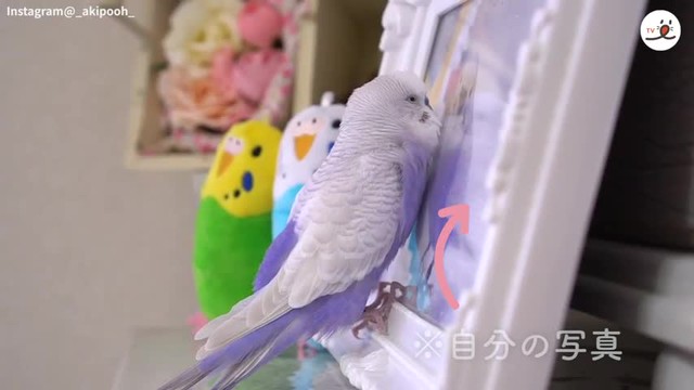 お腹のゆりかご ここがお気に入りの場所なんだ