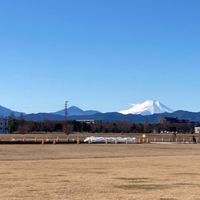 真如のアレコレ