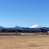 真如のアレコレ