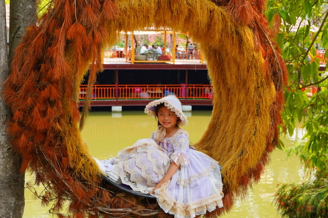 中部景點,斗六景點,斗六花旗木,近水樓台,近水樓台湖畔森林咖啡,近水樓台湖畔森林咖啡交通資訊,近水樓台湖畔森林咖啡停車場,近水樓台湖畔森林咖啡停車場花旗木,近水樓台湖畔森林咖啡門票,雲林IG打卡點,雲林景點,雲林網美景點,雲林花旗木近水樓台湖畔森林咖啡花旗木