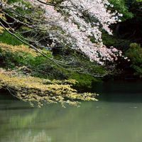 みんなの雑談部屋！