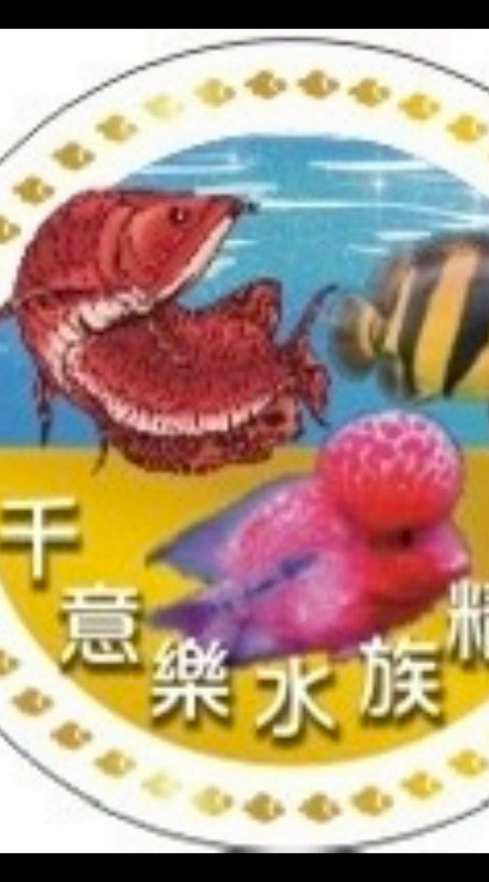 千意樂水族龍魚精品