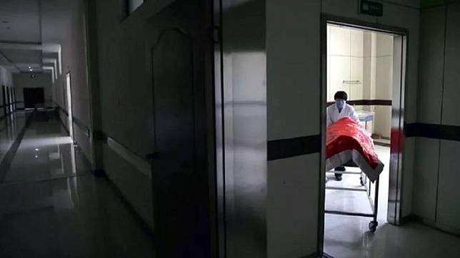 圖／翻攝自谷雨－騰訊新聞微博