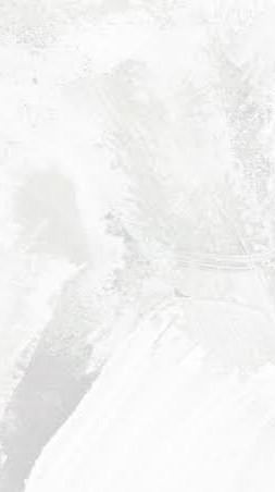 ハント系 全緩也 ‼️ ｺｲﾖｺｲﾖ