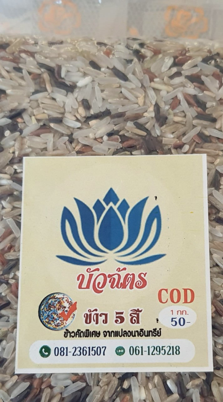 ข้าว"บัวฉัตร"