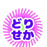 どり⭐かむSecond