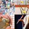 日本文化社團(日本舞踊、和服、演歌、花道)