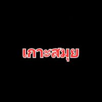 รวมมิตรงานเกาะสมุย