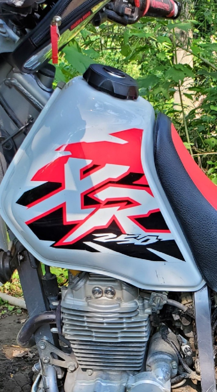 XR's only