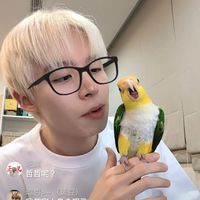 聊天群