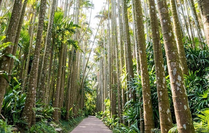 日本_沖繩_東南植物樂園