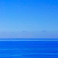 坐看雲起時