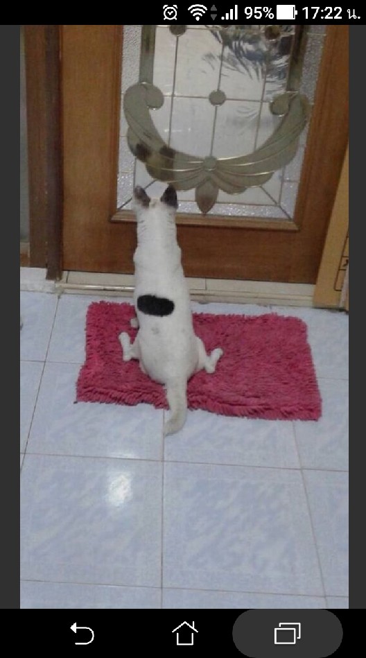 มินนี่