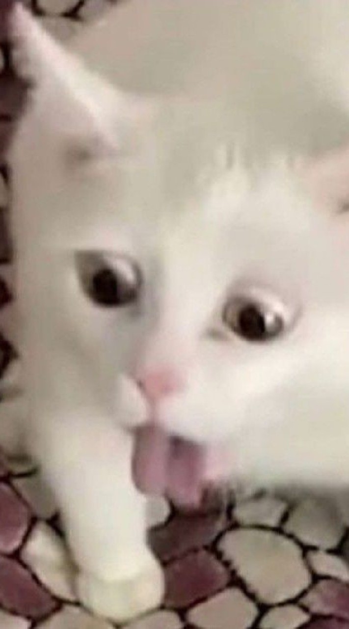 ꒰𝐆𝐞𝐧𝐬𝐡𝐢𝐧 𝐏𝐢𝐜𝐭𝐮𝐫𝐞 𝐆𝐫𝐨𝐮𝐩৲✿