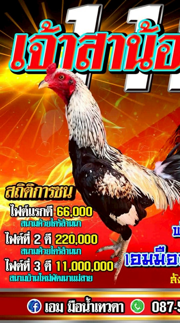 สาน้อย11M