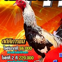 สาน้อย11M