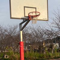 高知でバスケ好きな人