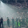 Stray Kids　也　
