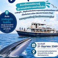 U-PIN รักษ์วาฬ 🐋