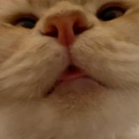 不期不怠，錢錢進口袋