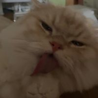 不期不怠，錢錢進口袋