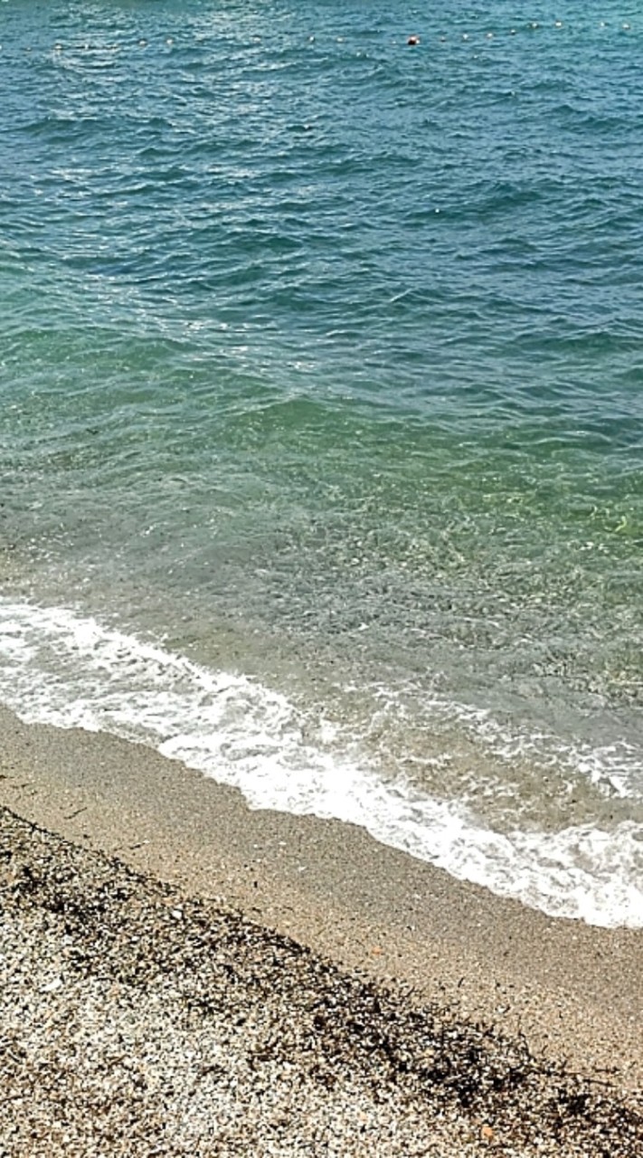 平日東北角浮潛