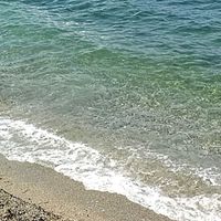 平日東北角浮潛