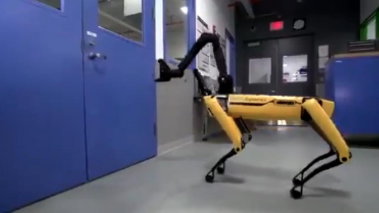 Sekarang Anjing Robot Bisa Buka Pintu Sendiri Kepunahan Manusia