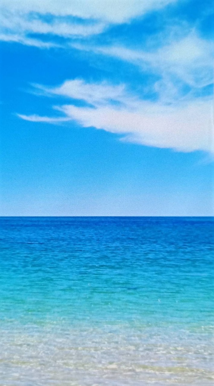 美滿投資日富群