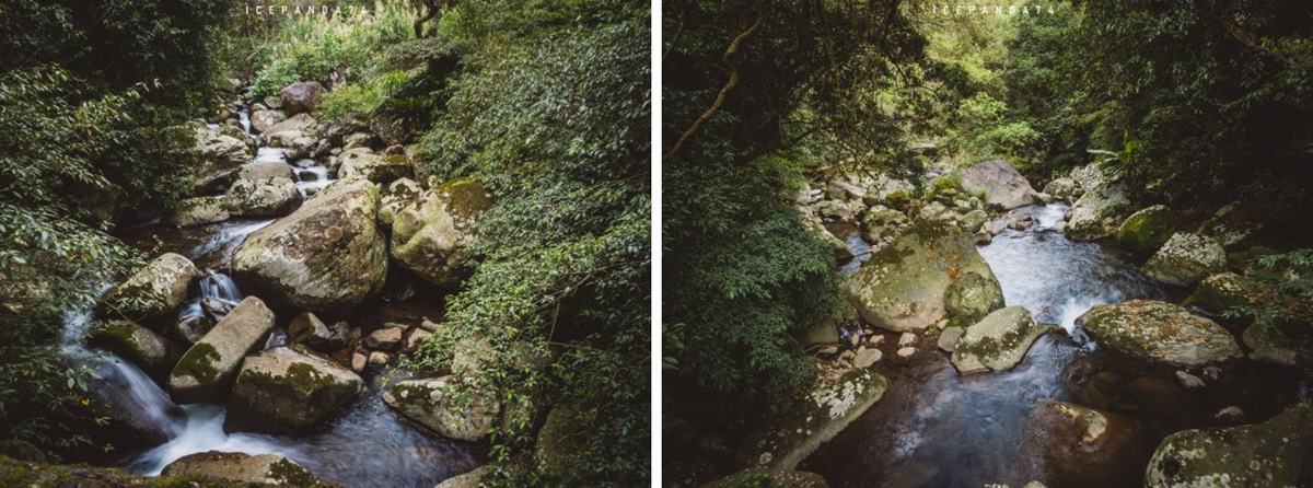 別只去故宮！士林６處「隱藏版景點」快衝：外雙溪祕境、IG暴紅「水中步道」