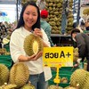 👨🏻‍🌾แจ้งราคาทุเรียน เจ๊กาญจน์ตลาดไท 💛👩🏼‍🌾