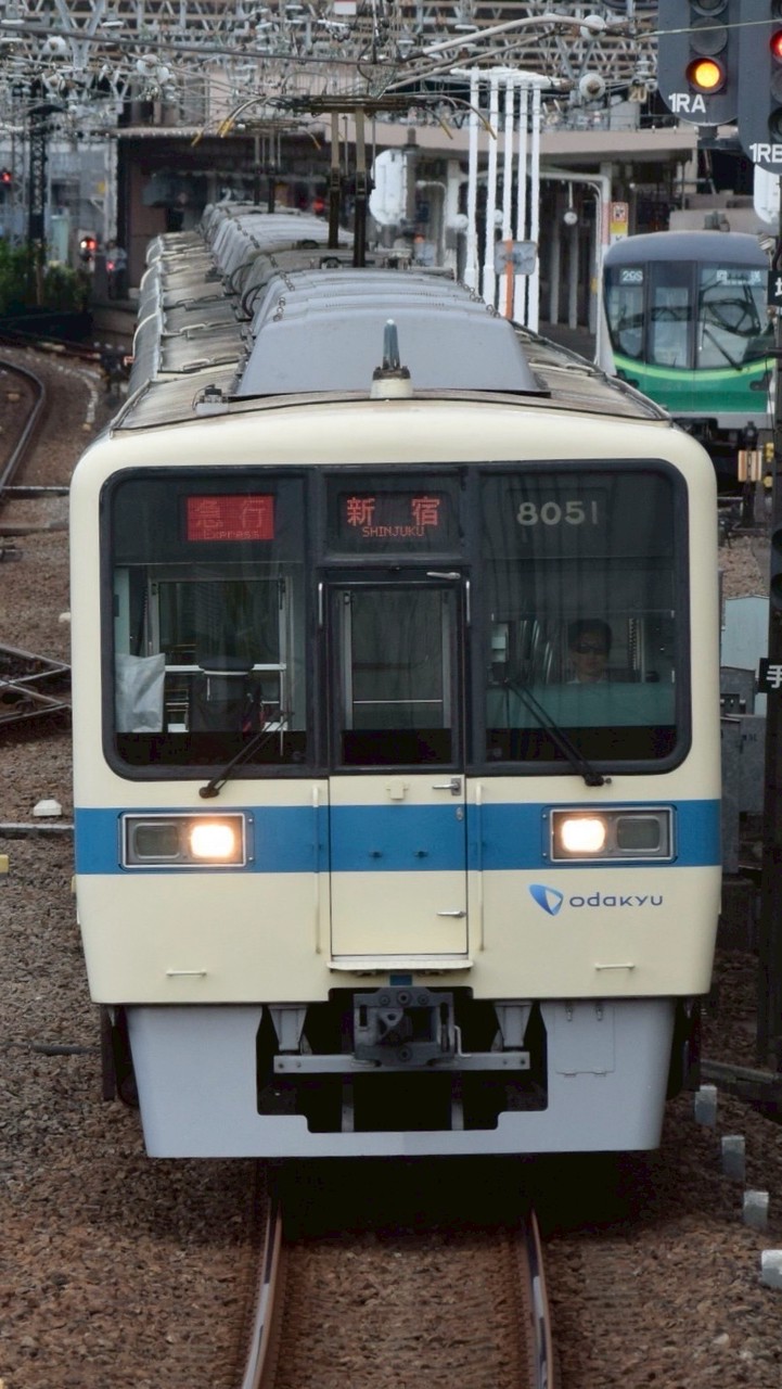 スジ公開・スジ公開・スジ公開