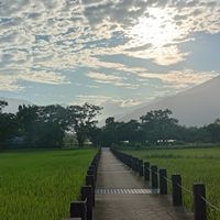 池上友座森林共生小宅
