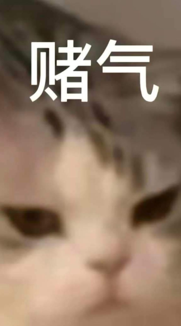 梗圖收集地